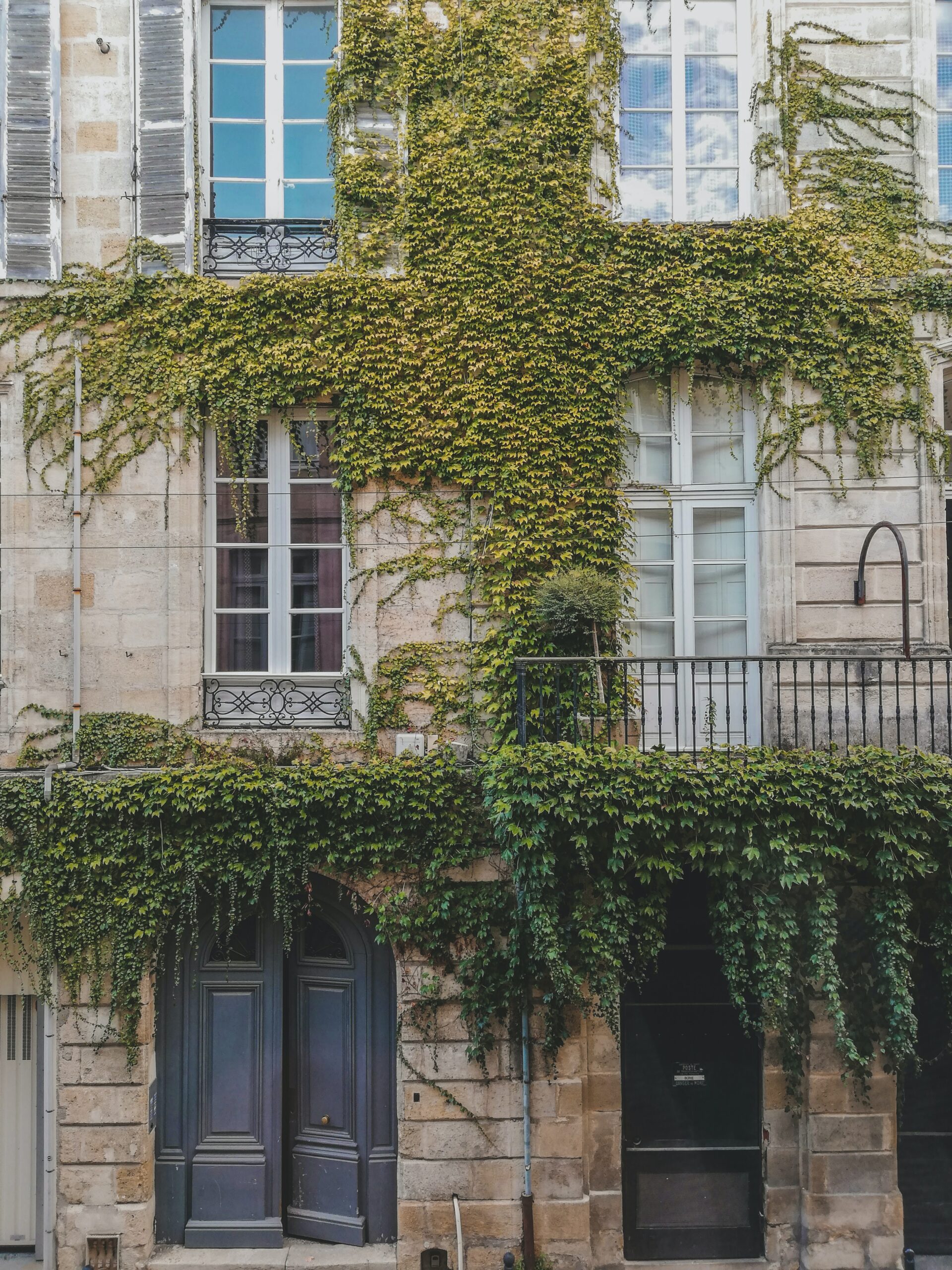 pexels-czapp-árpád-5534656